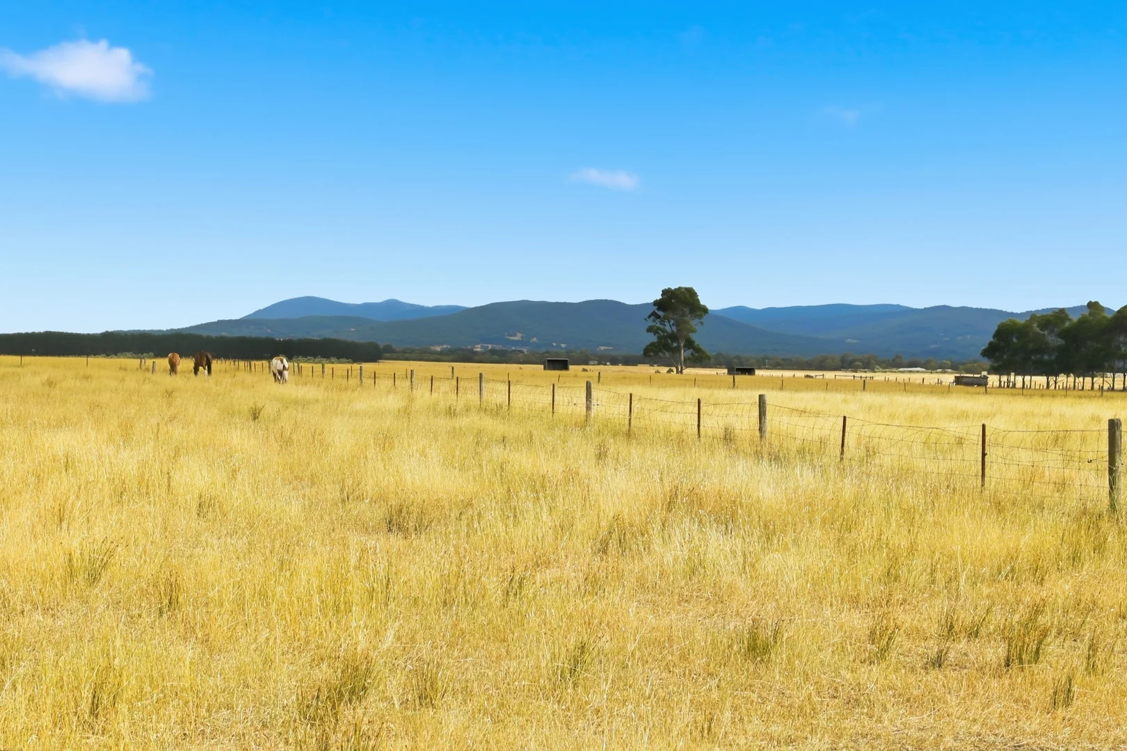 Additional image 32 of 85 Palmer Road, Sunbury VIC 3429