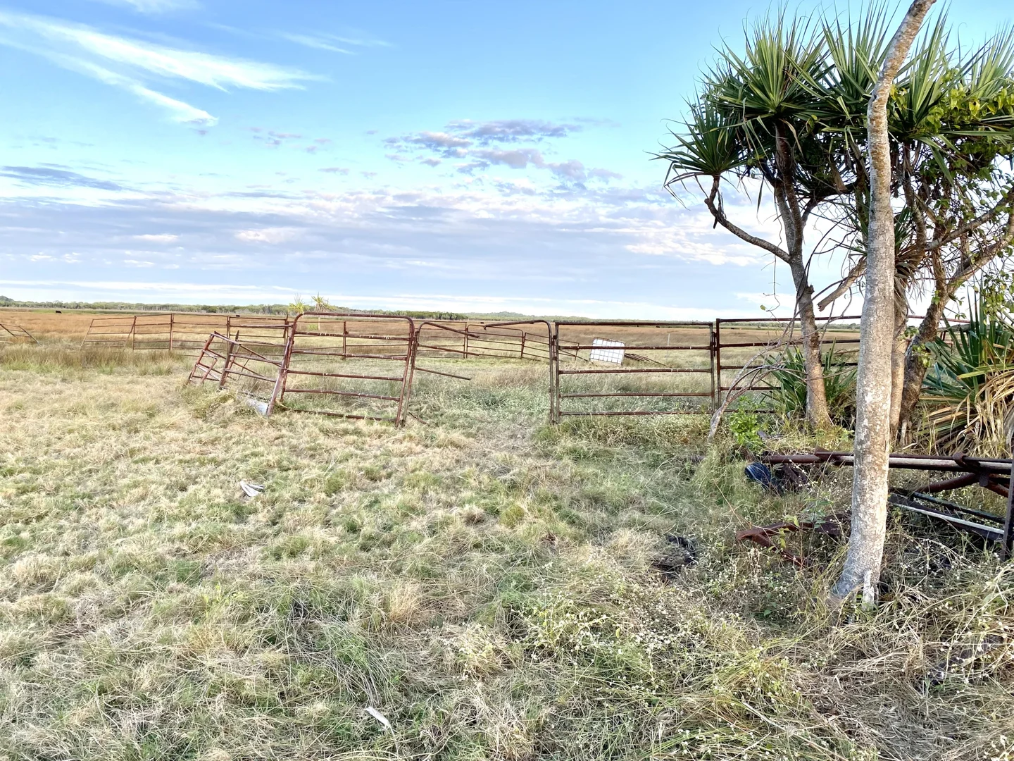 Additional image 15 of 118 Pyott Road, Airdmillan QLD 4807