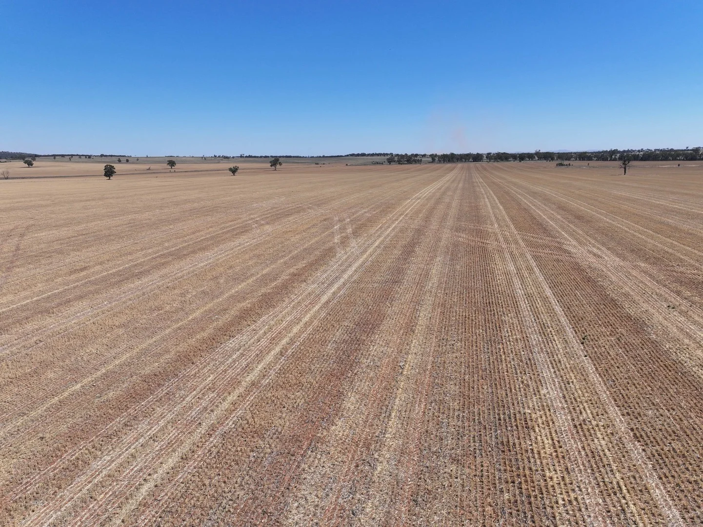 'Nolens'  5000 Barellan Road, Colinroobie NSW 2700