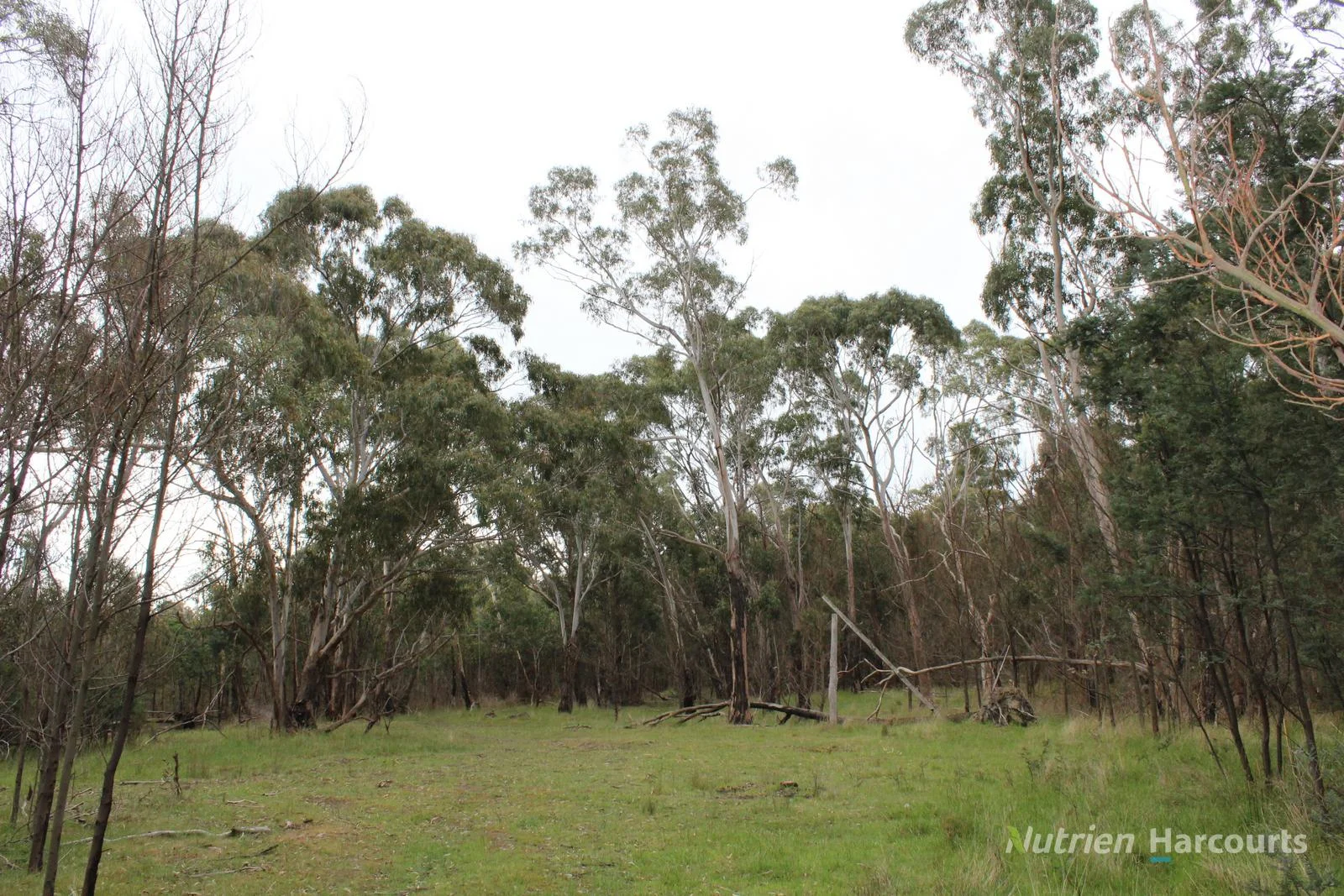 Additional image 7 of . Youngs Road, Baynton VIC 3444