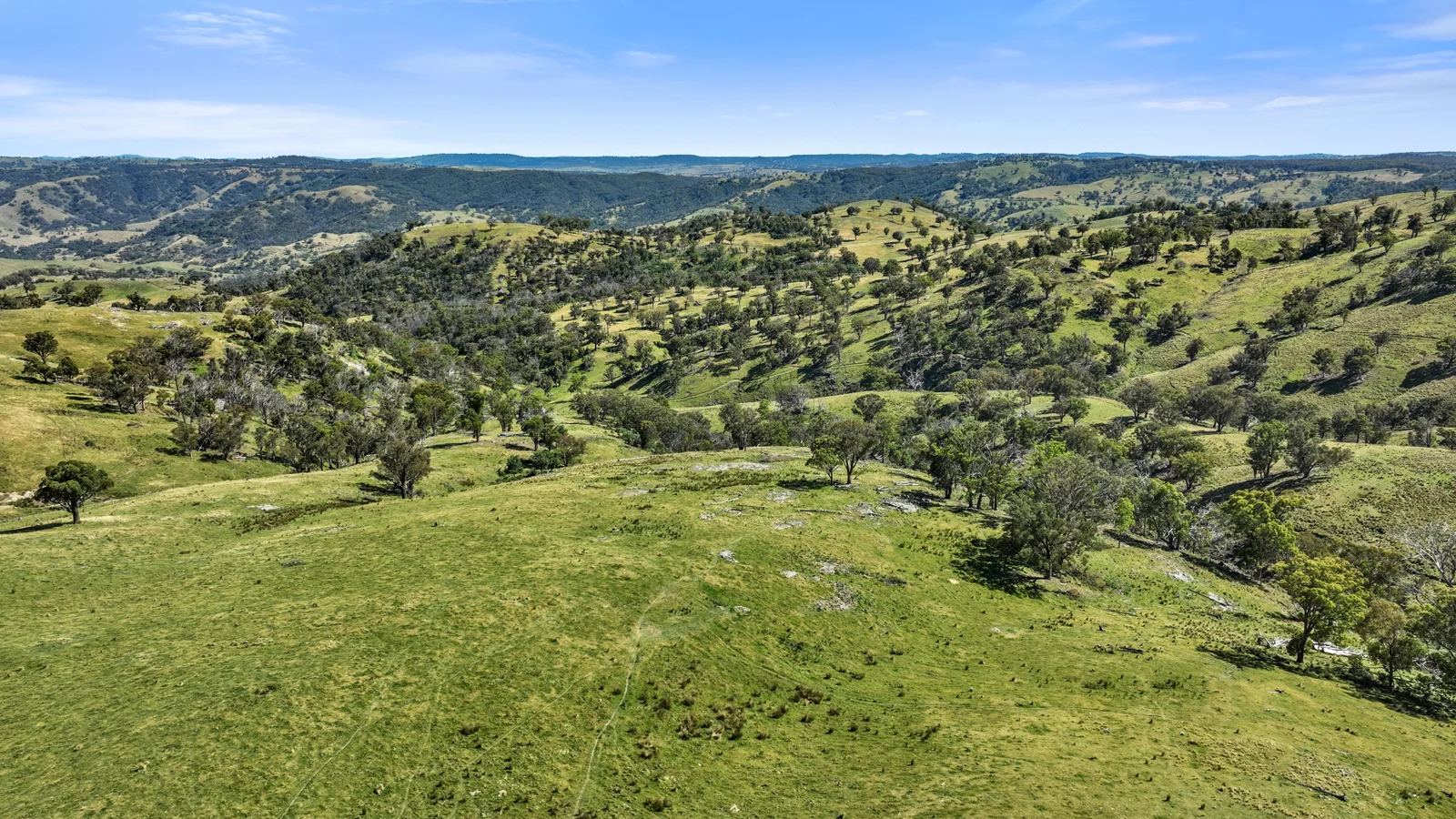 Additional image 15 of "Arawa" 2388 Campfire Road, Walcha NSW 2354