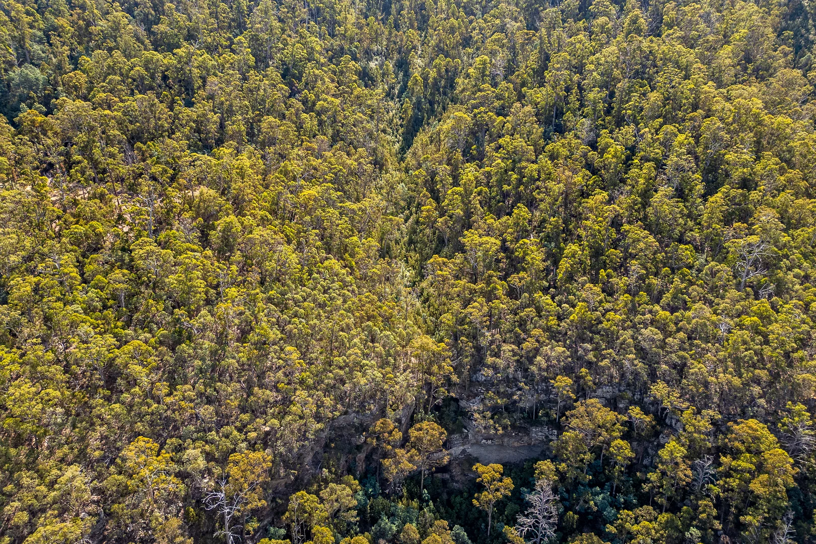 Additional image 24 of 1 Douglas Road, Molesworth TAS 7140