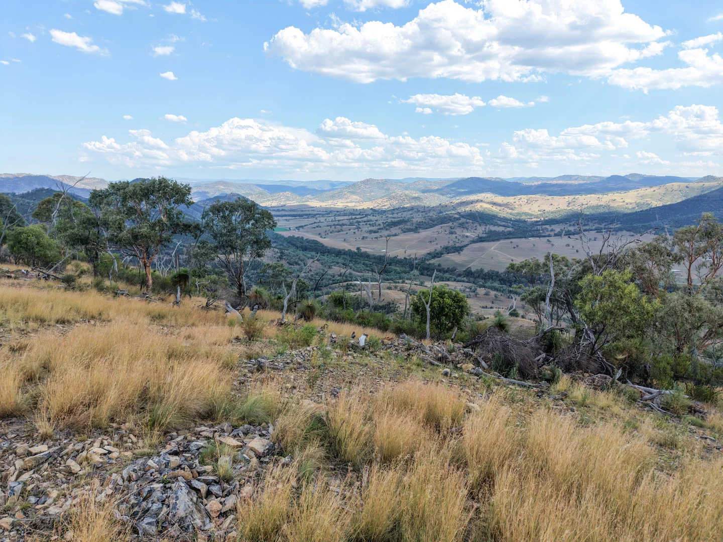 Additional image 19 of Lot 21 Gibraltar Road, Tenterfield NSW 2372