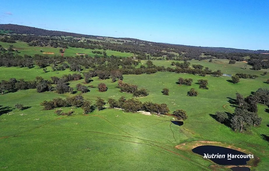 Additional image 4 of 967 Northam-Toodyay Road, Katrine WA 6401