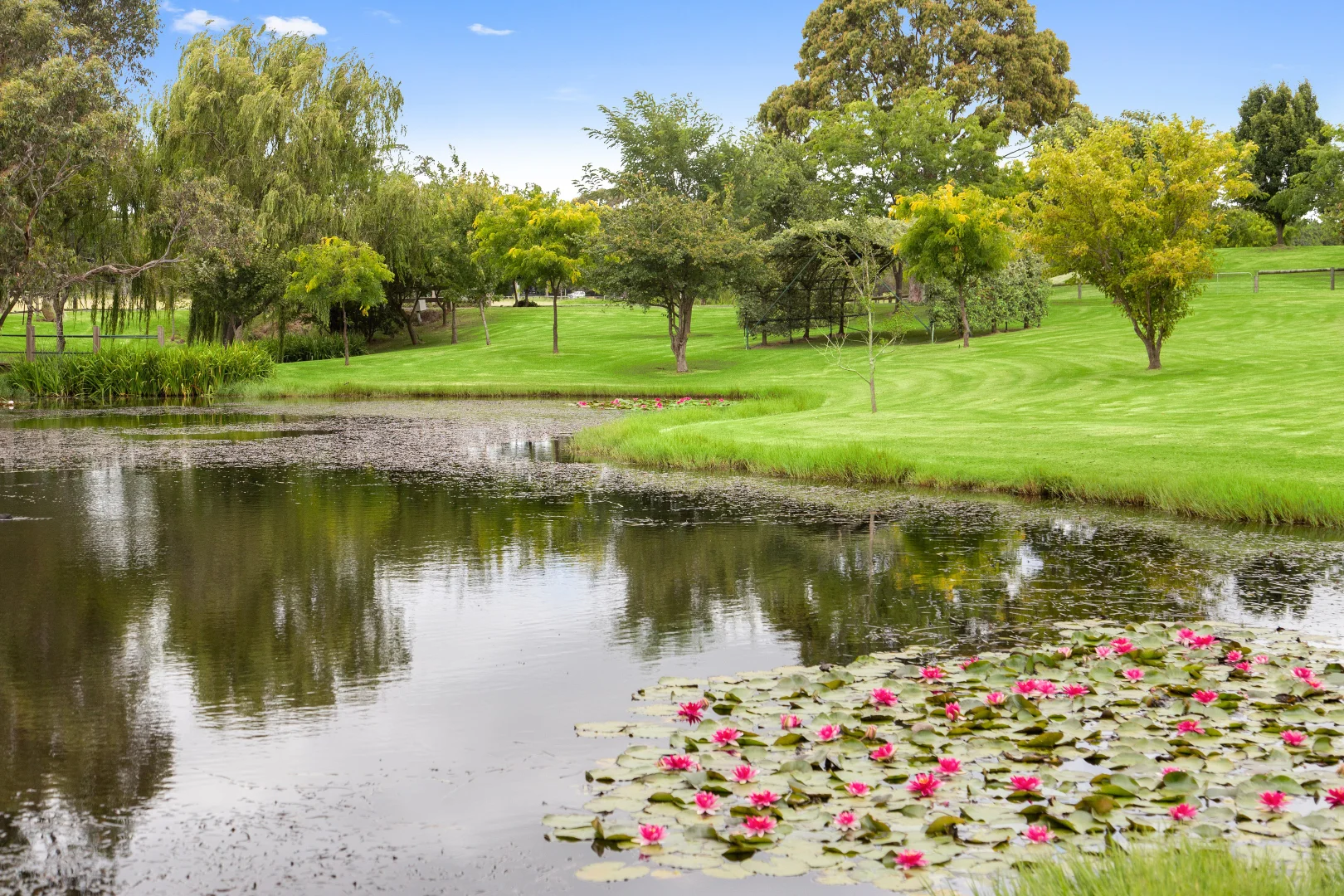 Additional image 10 of 218/218a Coolart Road, Moorooduc VIC 3933