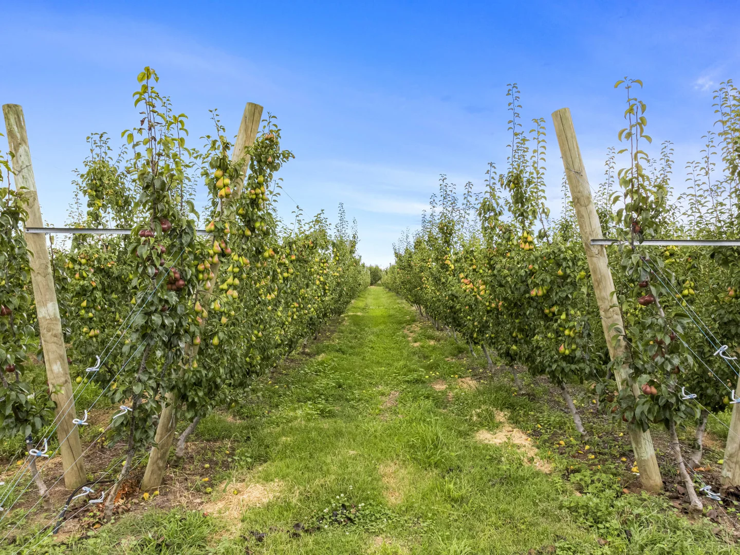 Additional image 17 of 595 Channel Road, Shepparton East VIC 3631