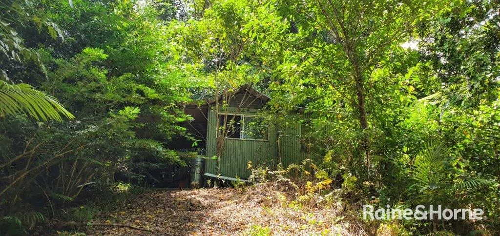 Additional image 49 of 55 Nicole Drive, Cape Tribulation QLD 4873