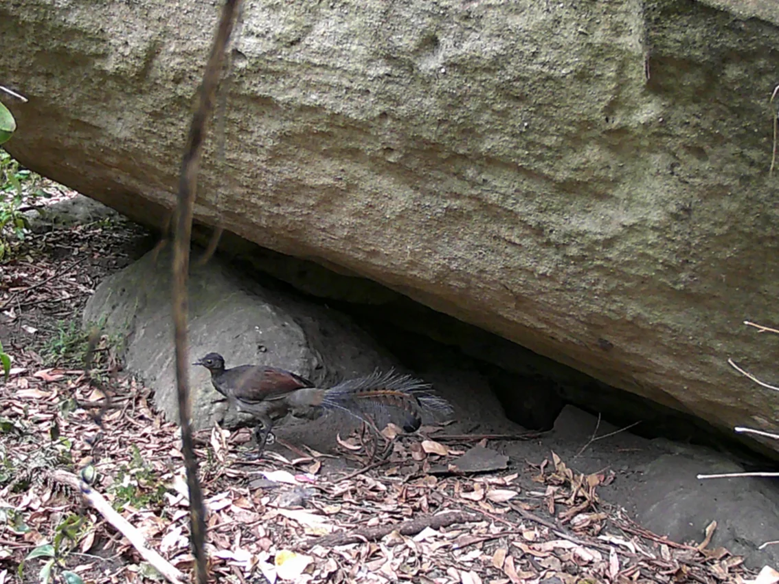 Additional image 28 of Illaroo NSW 2540