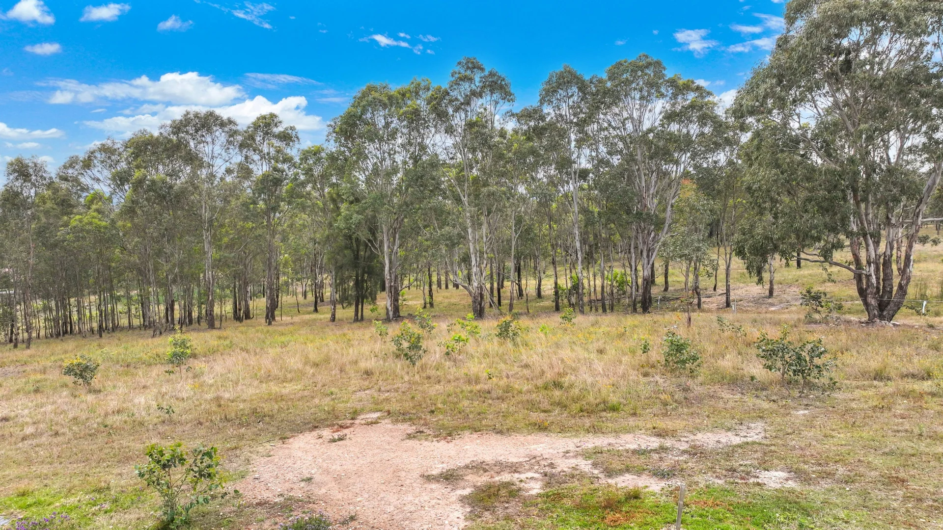 Additional image 23 of 5 Stage Woodland Ridge, Muswellbrook NSW 2333