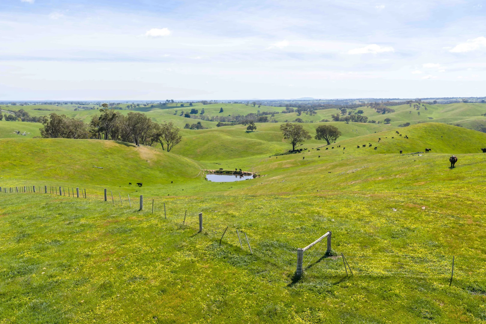 Additional image 5 of 362 Watchbox Road, Barfold VIC 3444