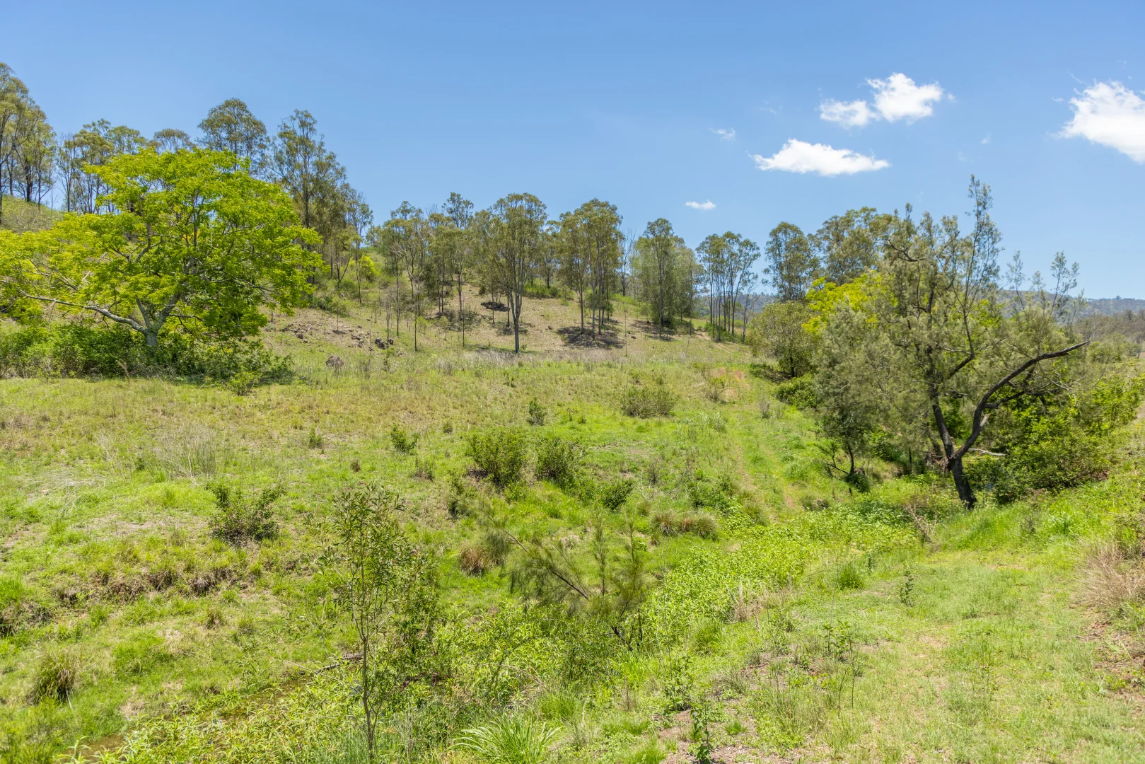 Additional image 36 of 483 Scrub Creek Road, Scrub Creek QLD 4313