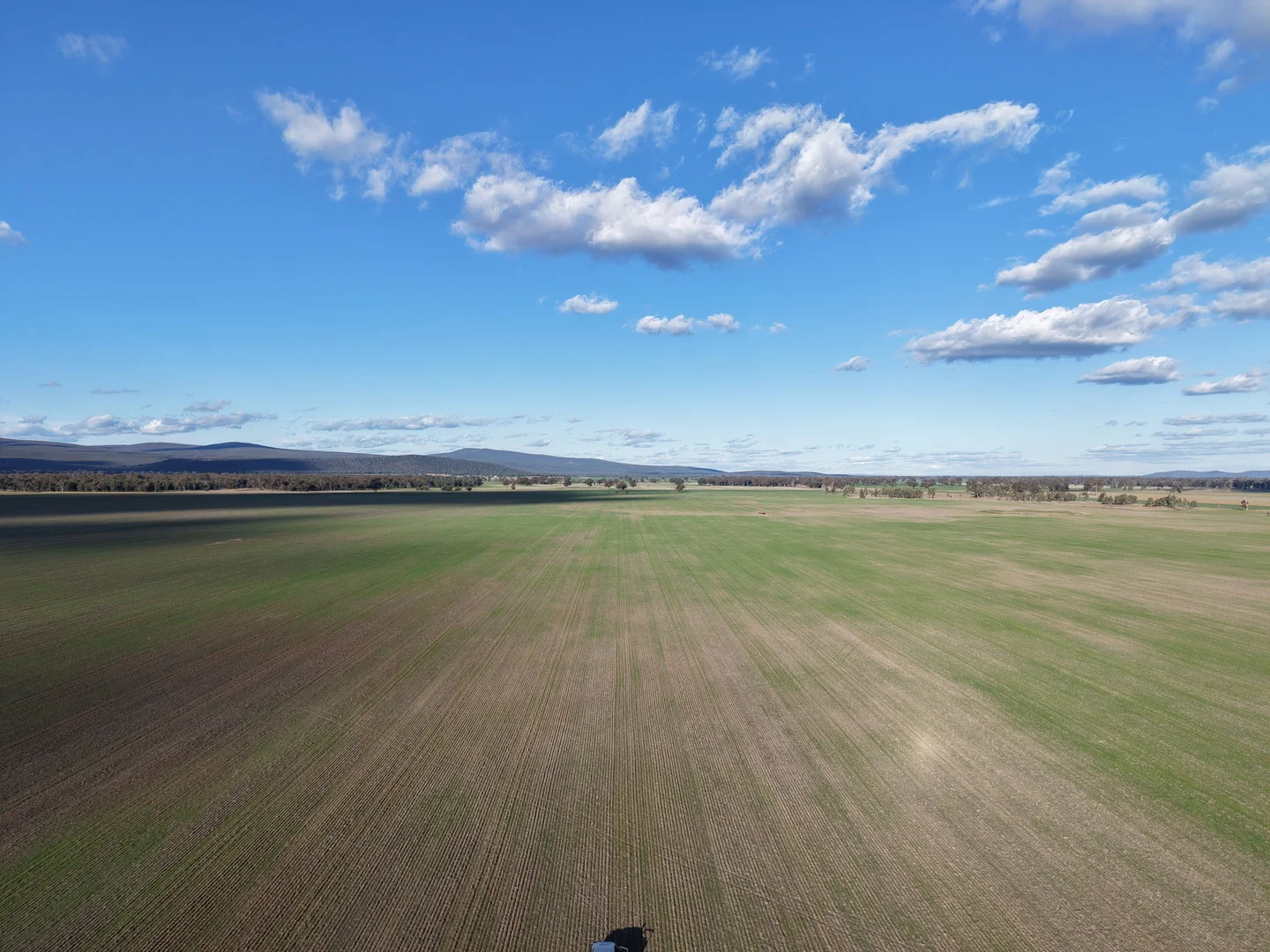 Additional image 15 of 1745 Bimbi Caragabal Road, Bimbi NSW 2810