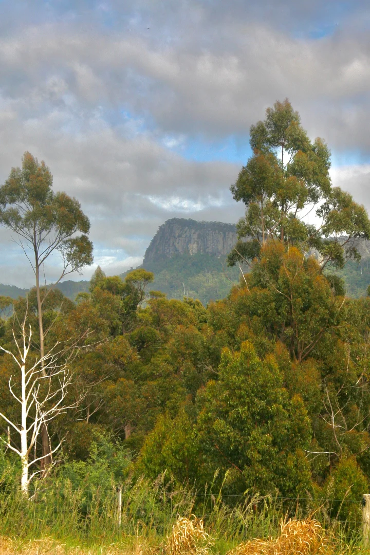 Additional image 17 of 470 Allison Rd, North Motton TAS 7315