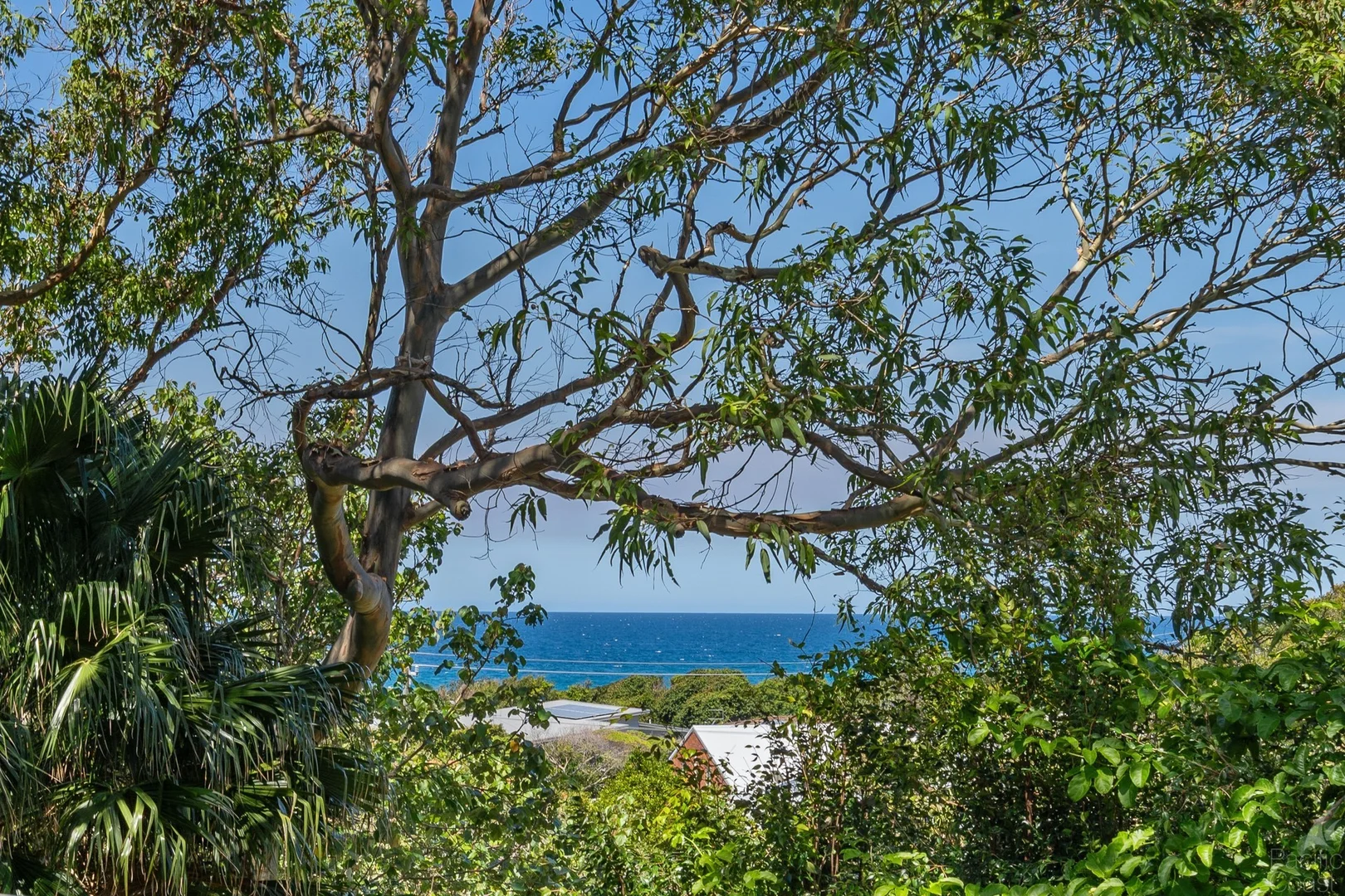 Additional image 3 of 36 Seaview Street, Forster NSW 2428