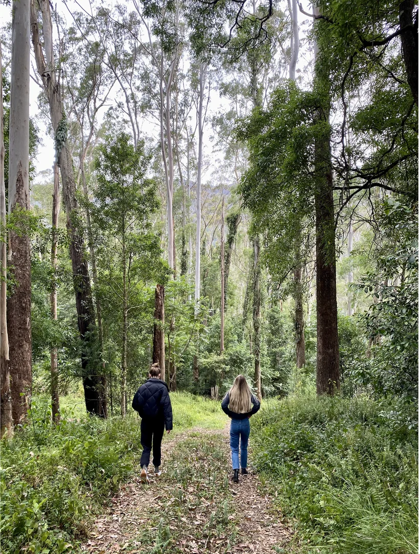 Additional image 22 of Kangaroo Valley NSW 2577