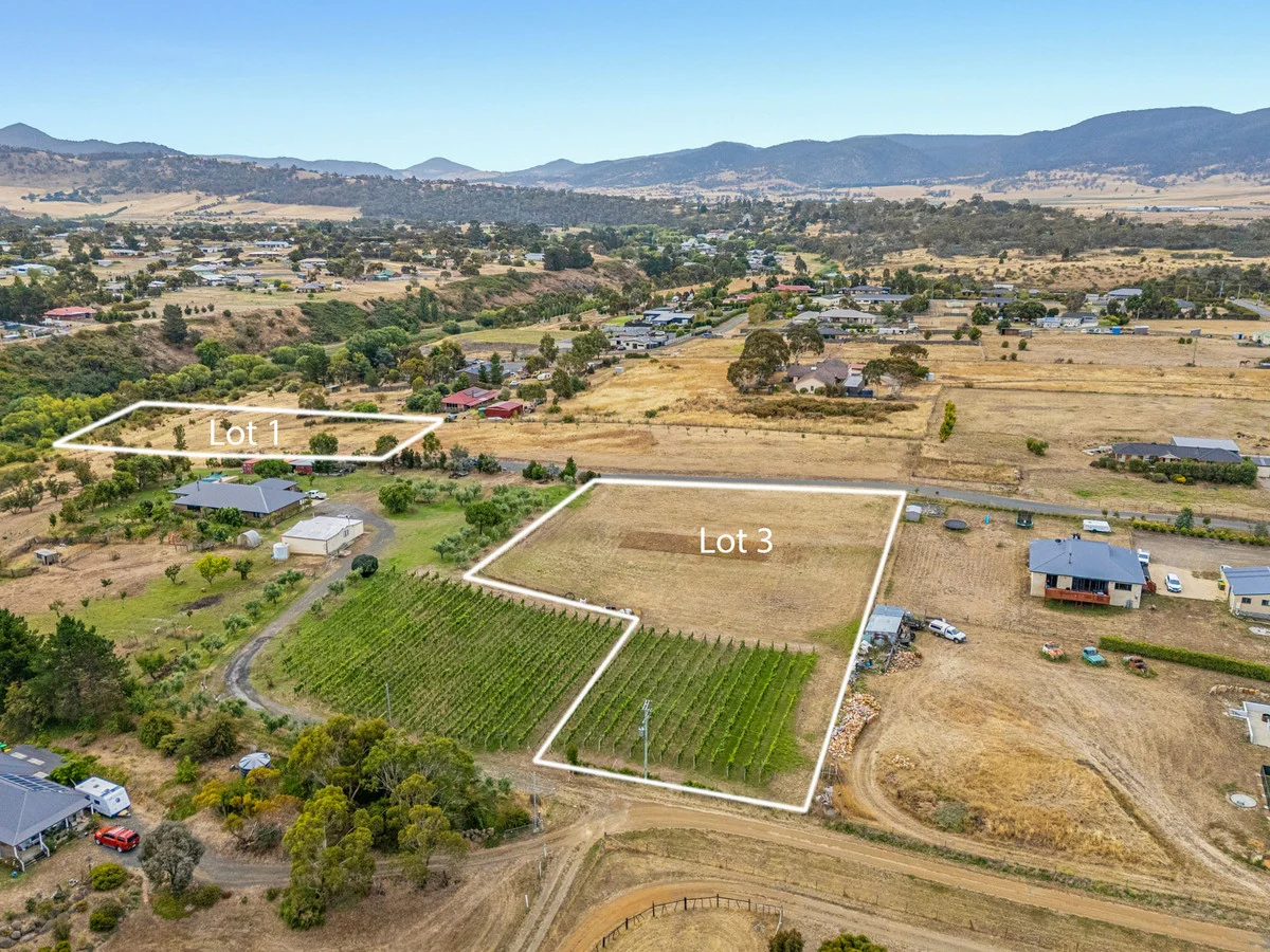 1 & 3/173 Tea Tree Road, Brighton TAS 7030