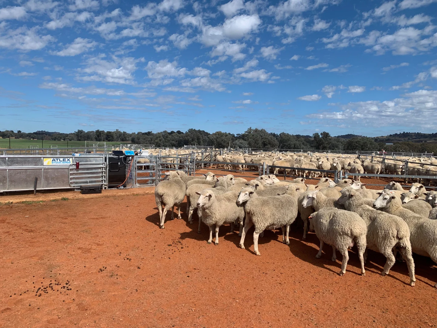 Additional image 7 of Dicksons, 0 Bennett Springs Road, Cowra NSW 2794