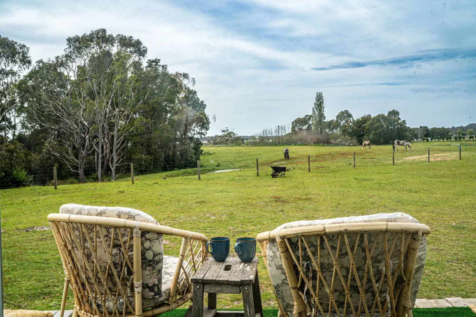 Additional image 24 of 25498 Tasman Highway, St Helens TAS 7216