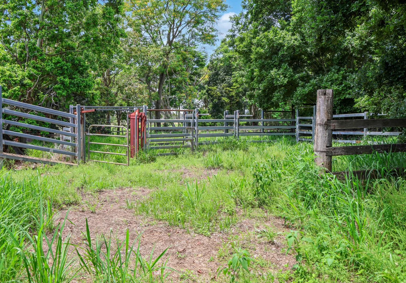 Additional image 31 of 178 Dunns Avenue, Harrisville QLD 4307