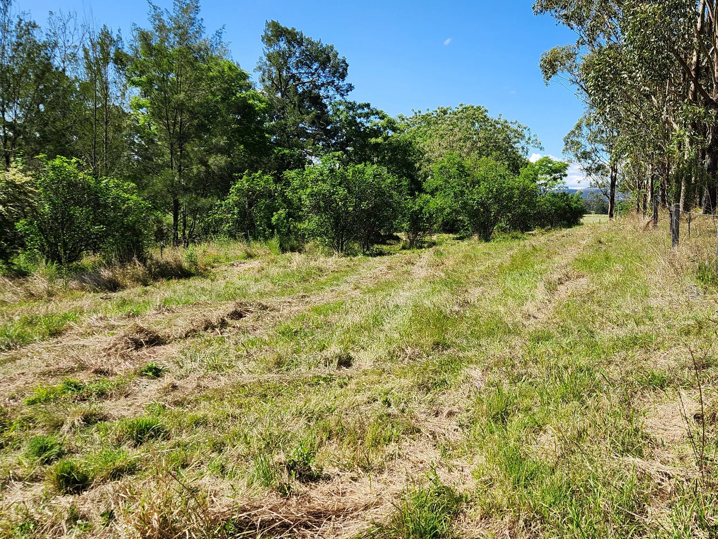 Additional image 12 of Vacy NSW 2421