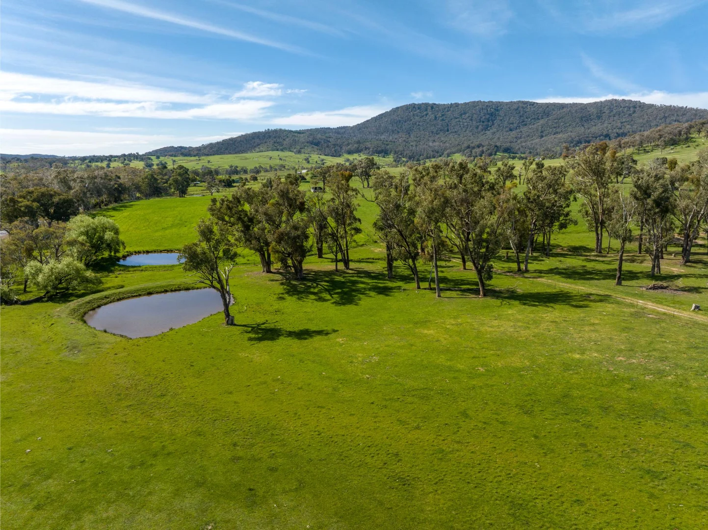 Additional image 14 of 589 Tooma Road, Tumbarumba NSW 2653