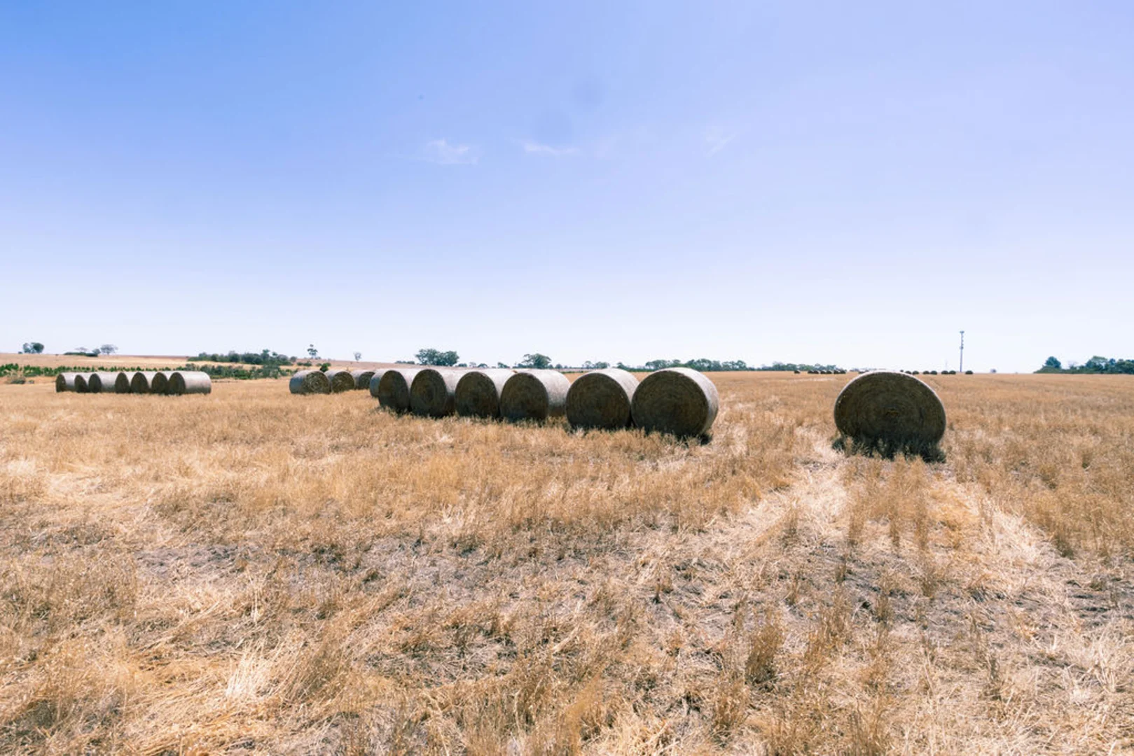 Additional image 8 of 30 Ryans Road, Cape Clear VIC 3351