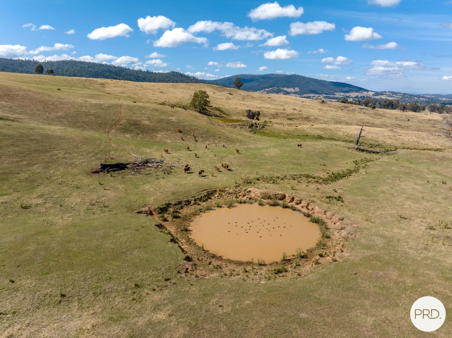 Additional image 15 of 1100 Batlow Road, Tumbarumba NSW 2653
