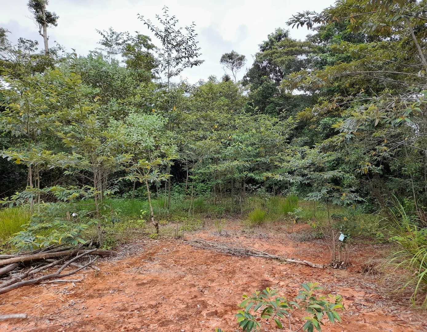 Additional image 9 of Lot 213 Kelly Road, Ellinjaa QLD 4886