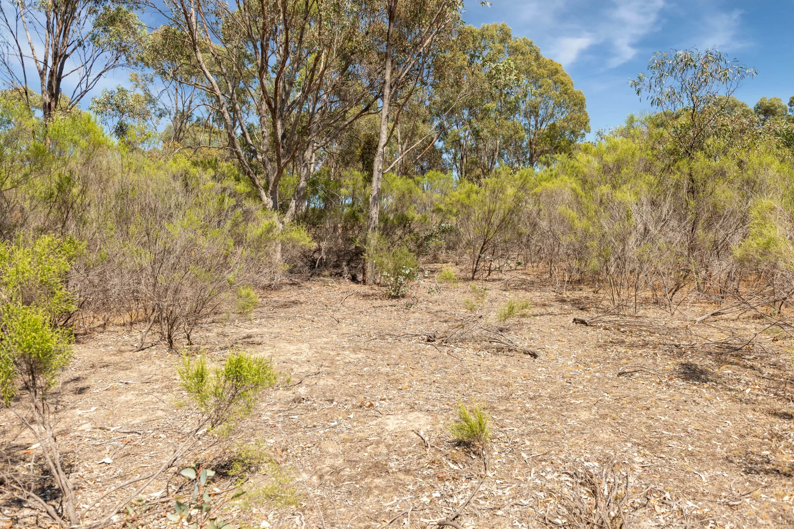 Additional image 4 of Lot 40 Hakea Court, Heathcote VIC 3523