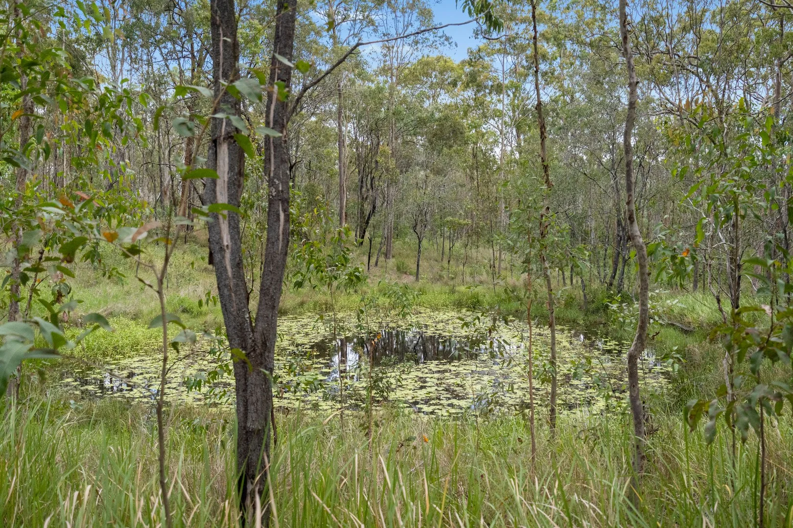 Additional image 10 of Lot 76 Rice Road, Lyons QLD 4124
