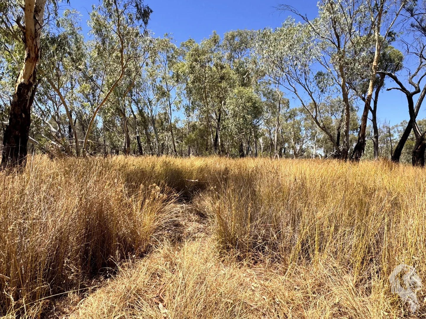 Additional image 22 of 548 Farr Park Road, Wee Waa NSW 2388