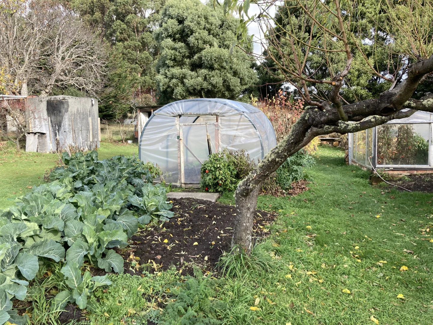 Additional image 18 of 59 Chittys Road, Franklin TAS 7113