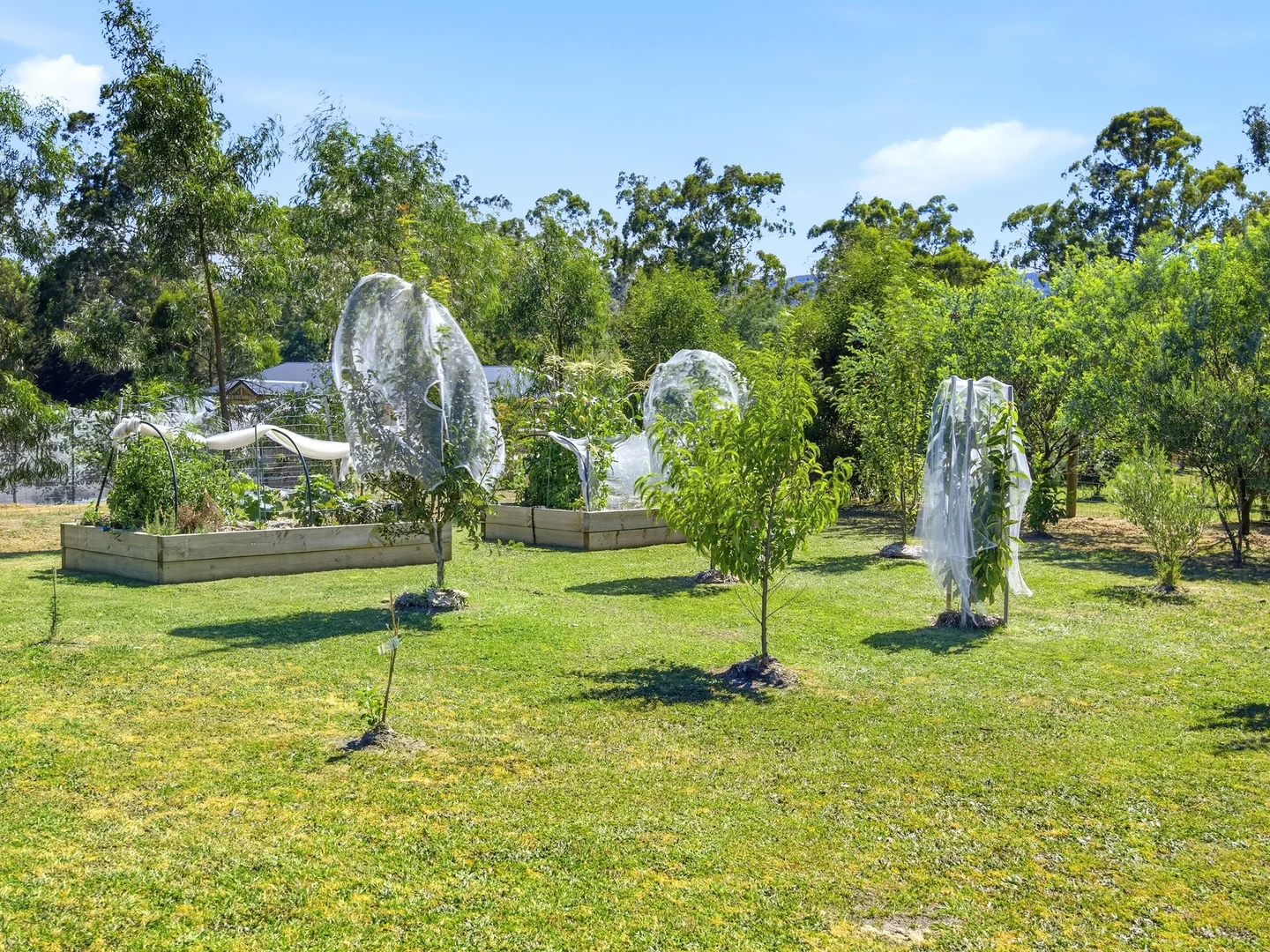 Additional image 22 of 18 Windsor Crt, Buxton VIC 3711