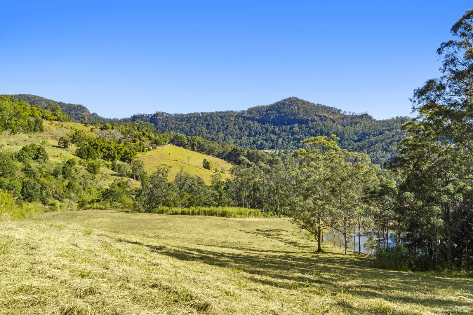 Additional image 9 of 193 Petsch Creek Road, Tallebudgera Valley QLD 4228
