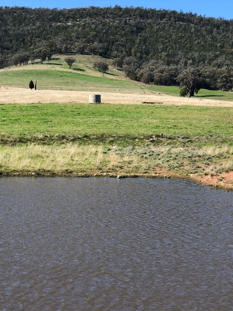 Additional image 7 of Address Via Request Road, Grenfell NSW 2810