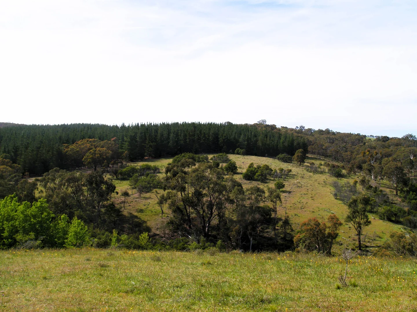 Additional image 9 of 198 Wurungul Lane, Gundaroo NSW 2620