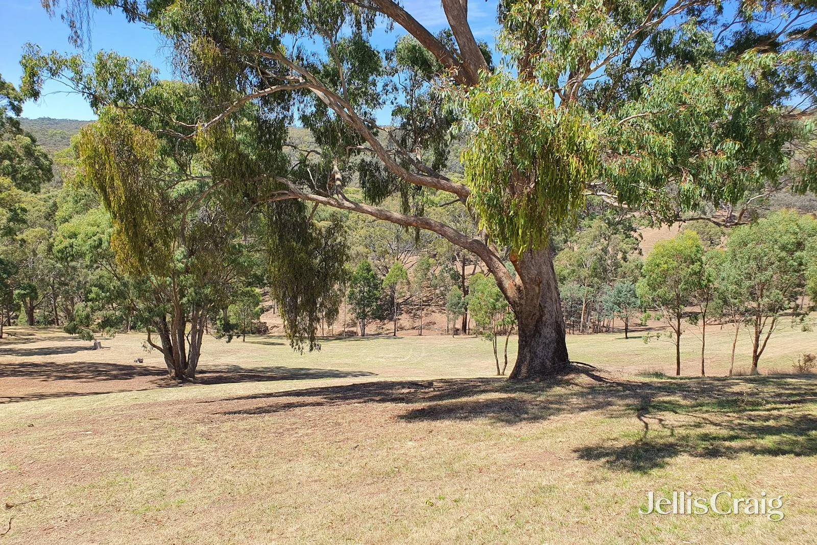 Additional image 17 of 153 Charlies Road, Elevated Plains VIC 3461