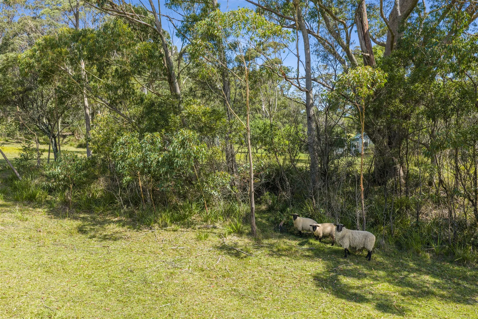 Additional image 26 of 103 Wallaby Hill Road, Robertson NSW 2577