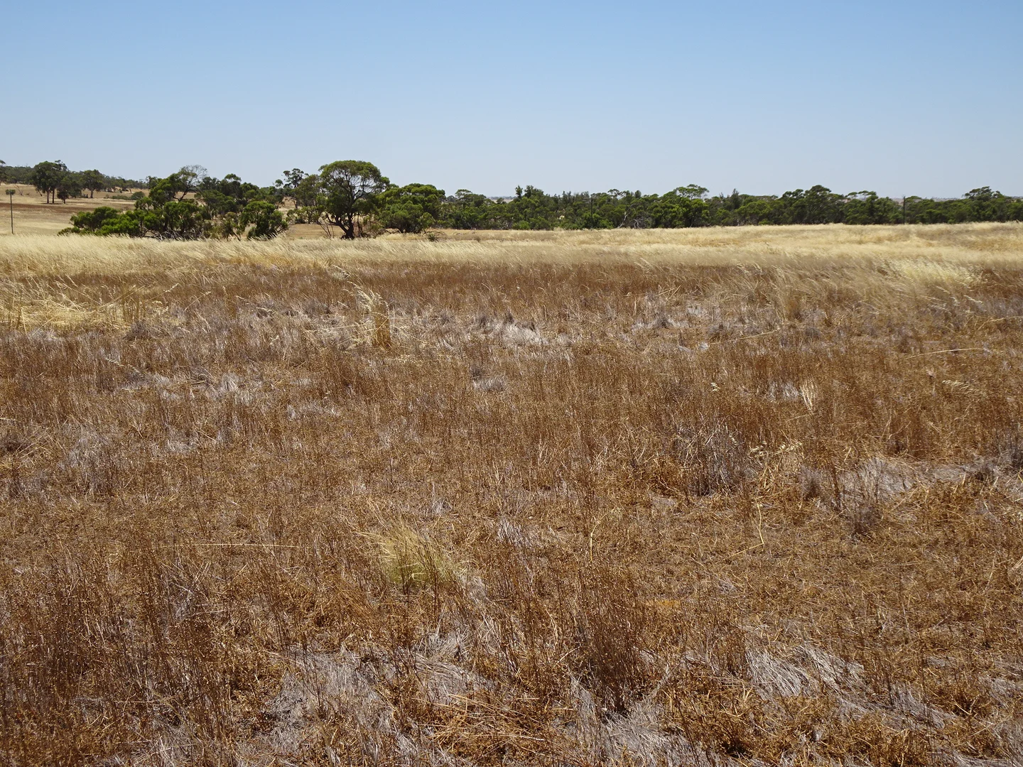 Additional image 18 of 160 Chittleborough Road, Brookton WA 6306