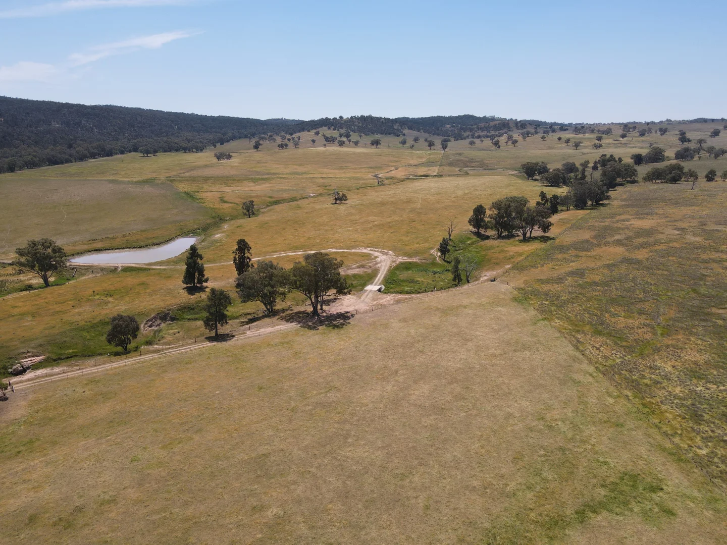 Additional image 5 of "Babynda" 829 Eulimore Road, Eugowra NSW 2806