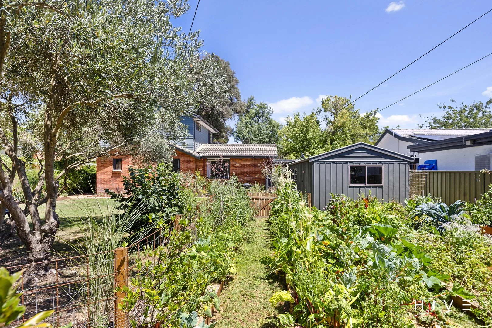 Additional image 27 of 11 Molesworth Street, Watson ACT 2602