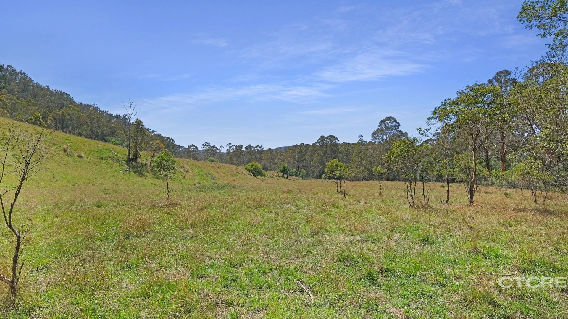 Additional image 11 of 25 Warm Corners Track, Bonang VIC 3888