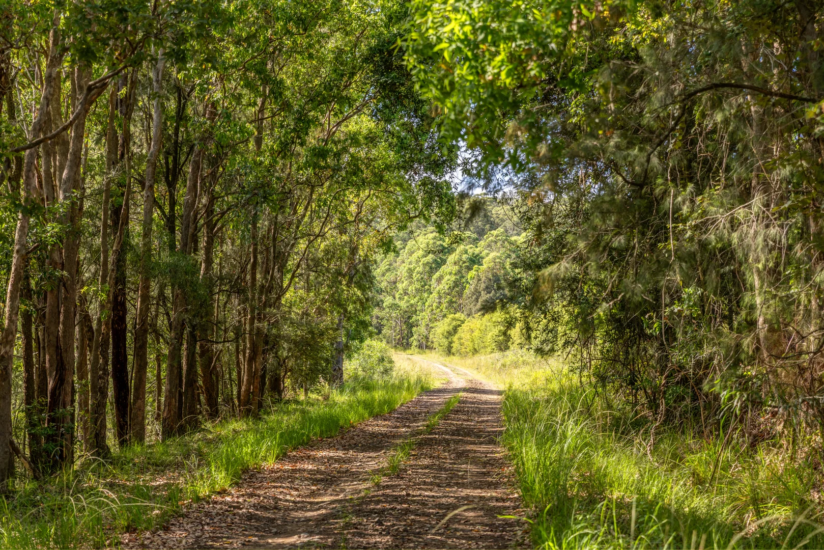 Additional image 19 of 1012 Boonabilla Road, Gresford NSW 2311