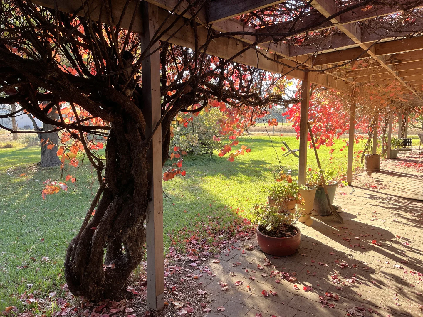 Additional image 25 of 520 Mayrung Road, Finley NSW 2713