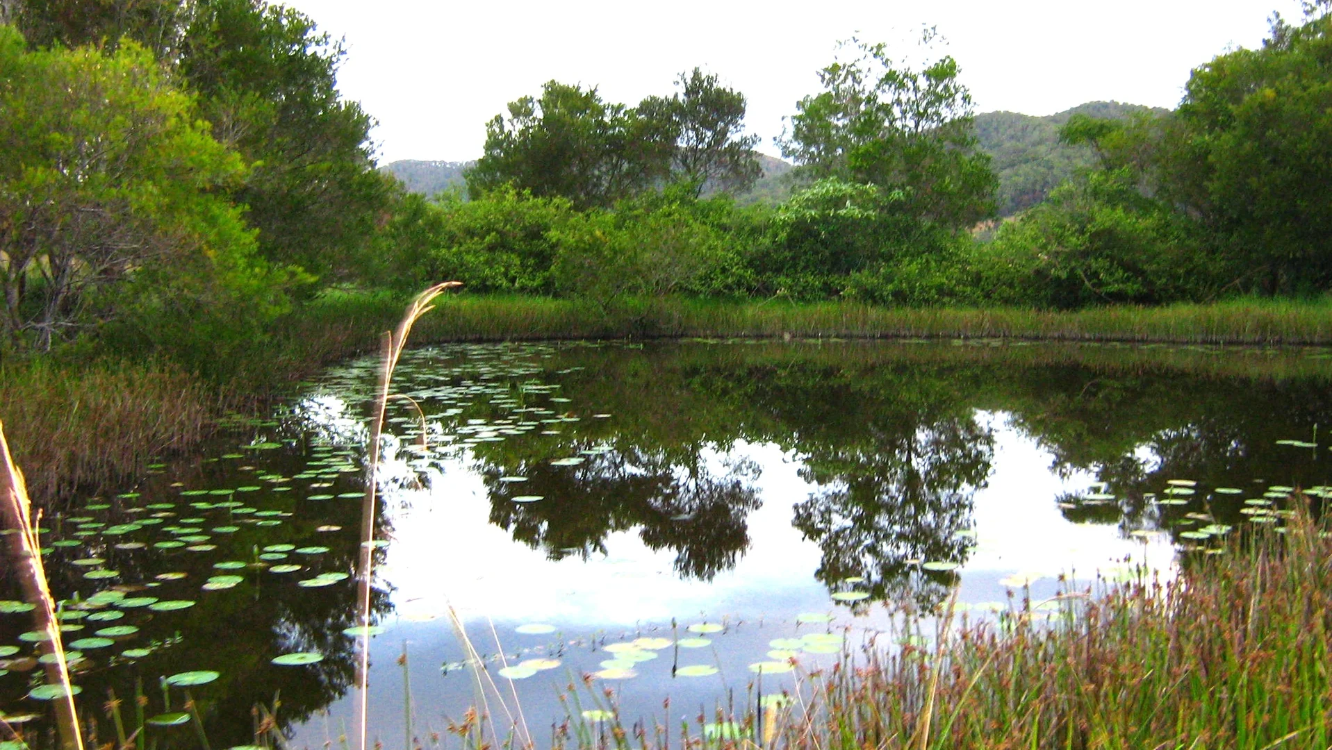 Additional image 14 of 427 Shaws Road, Hollisdale NSW 2446