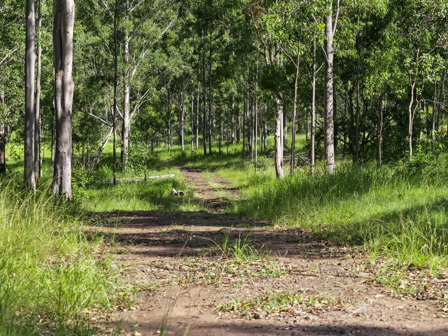 Additional image 5 of Duck Creek NSW 2469