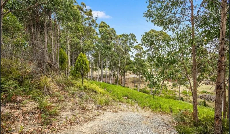 Additional image 6 of 1 Woodland Grove, Tugrah TAS 7310