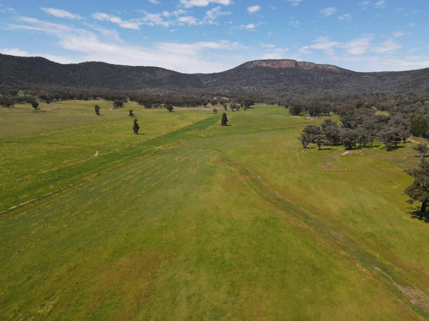 Additional image 9 of "Nangar Valley" 223 Rodwells Road, Murga NSW 2864