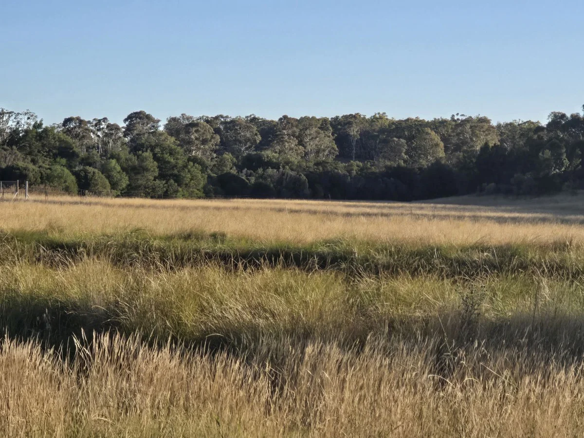 Additional image 18 of 32 Hush Road, Windellama NSW 2580