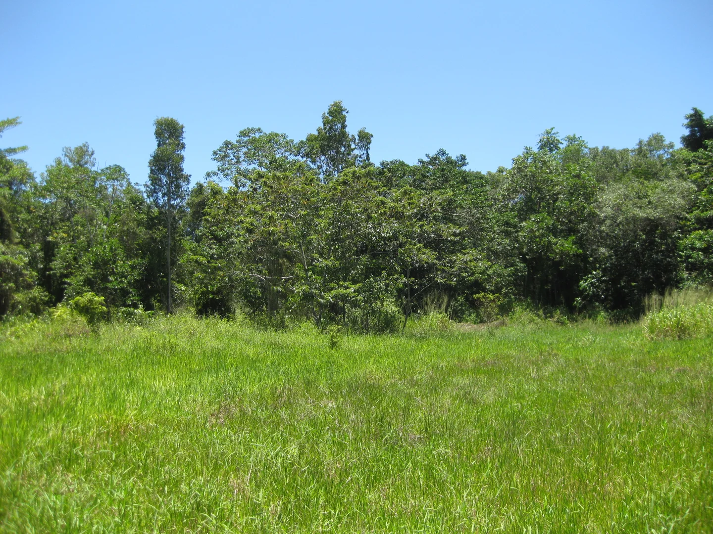 Additional image 2 of 0 Tully-Mission Beach Road, Wongaling Beach QLD 4852